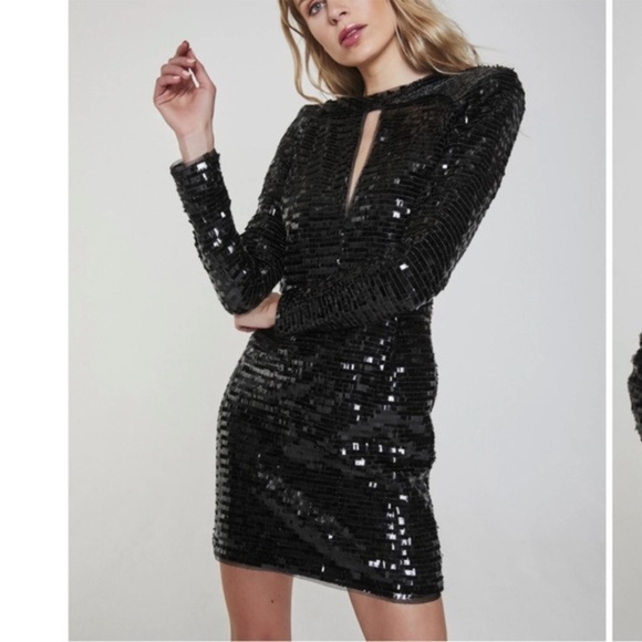 Haney Alexandra Mini Dress Size 10 - Picture 2 of 16